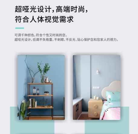 生态之家超哑光漆02