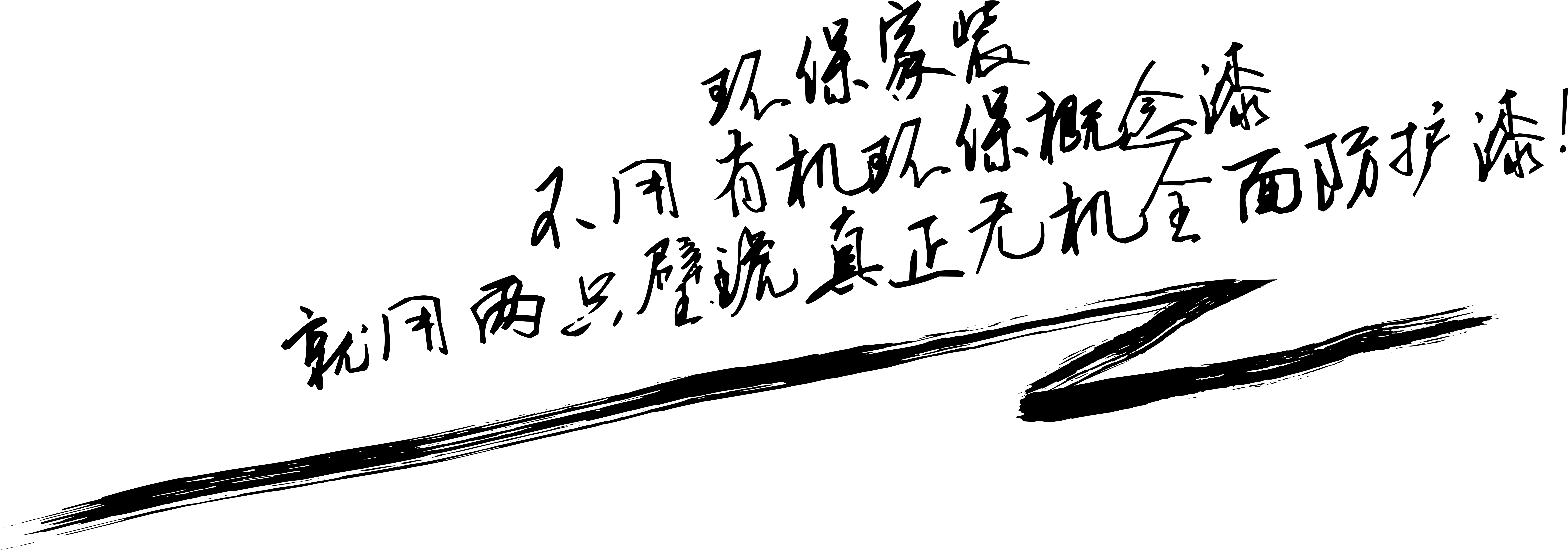 两只璧琥