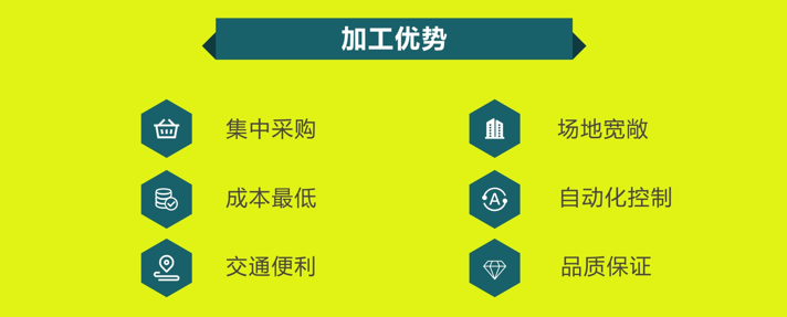两只璧琥OEM3