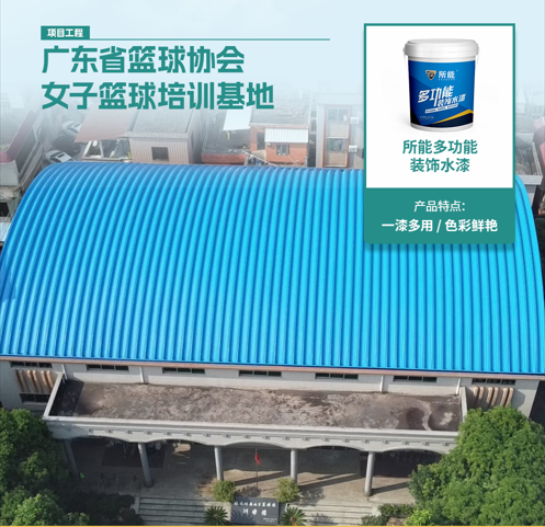 广东省篮球协会女子篮球培训基地