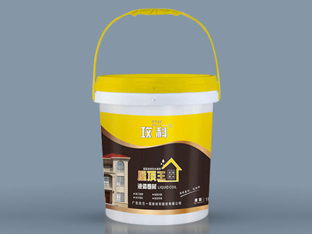 屋顶王