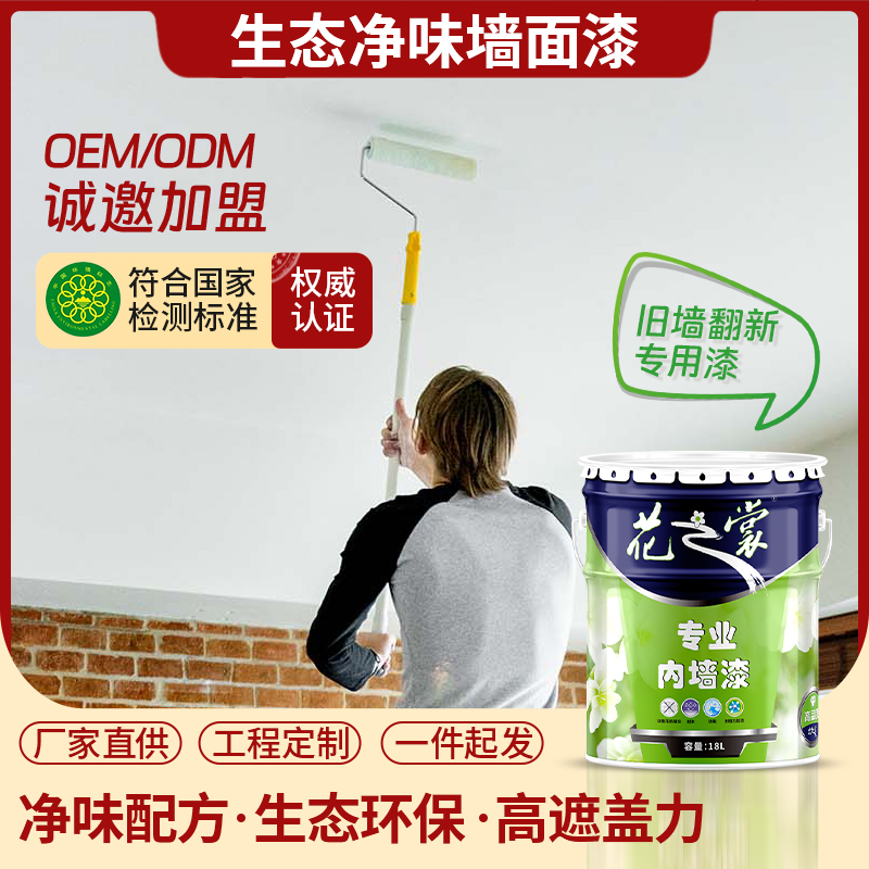 旧墙翻新内墙面漆