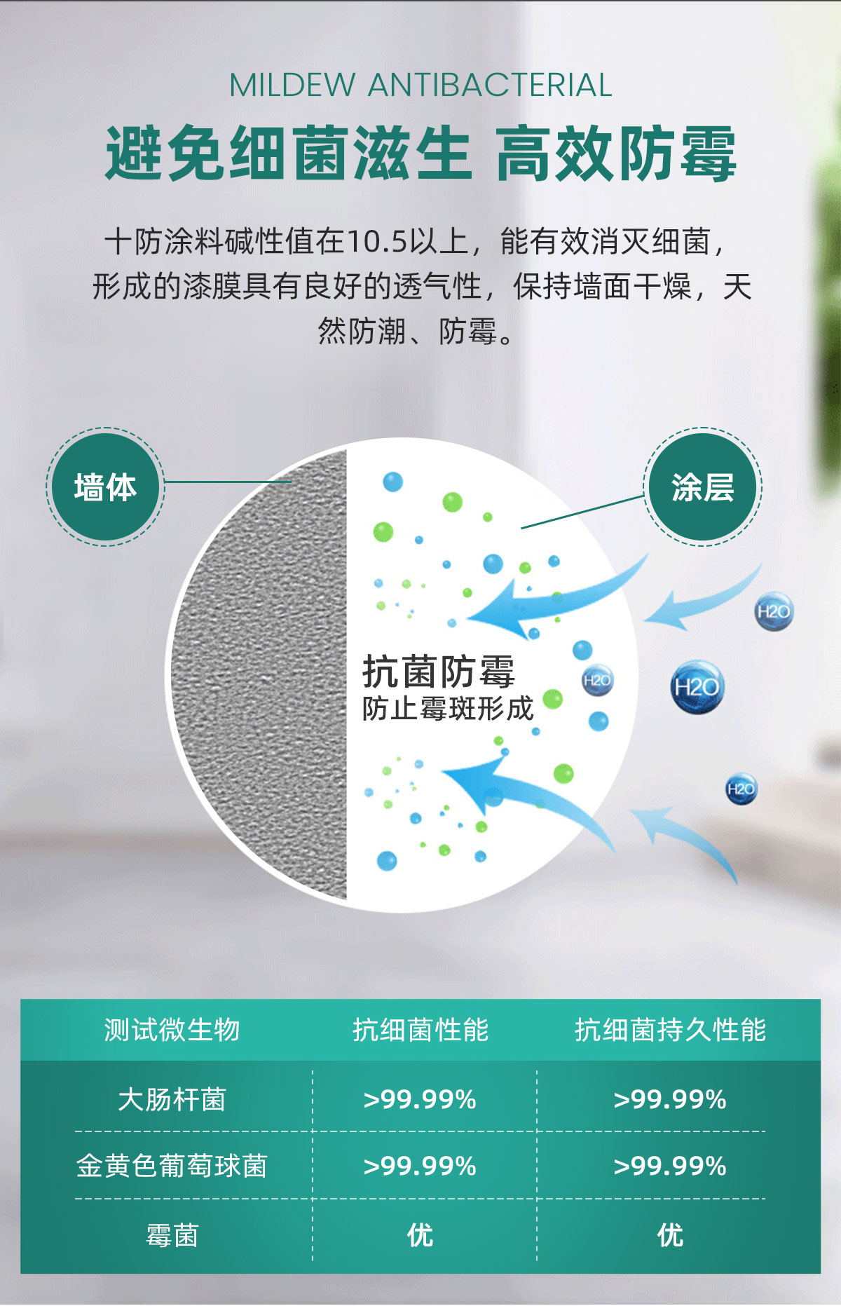 十防墙面漆_05